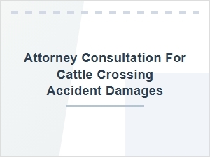 Attorney Consultation for Cattle Crossing Accident Damages
