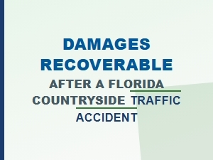Damages Recoverable After a Florida Countryside Accident